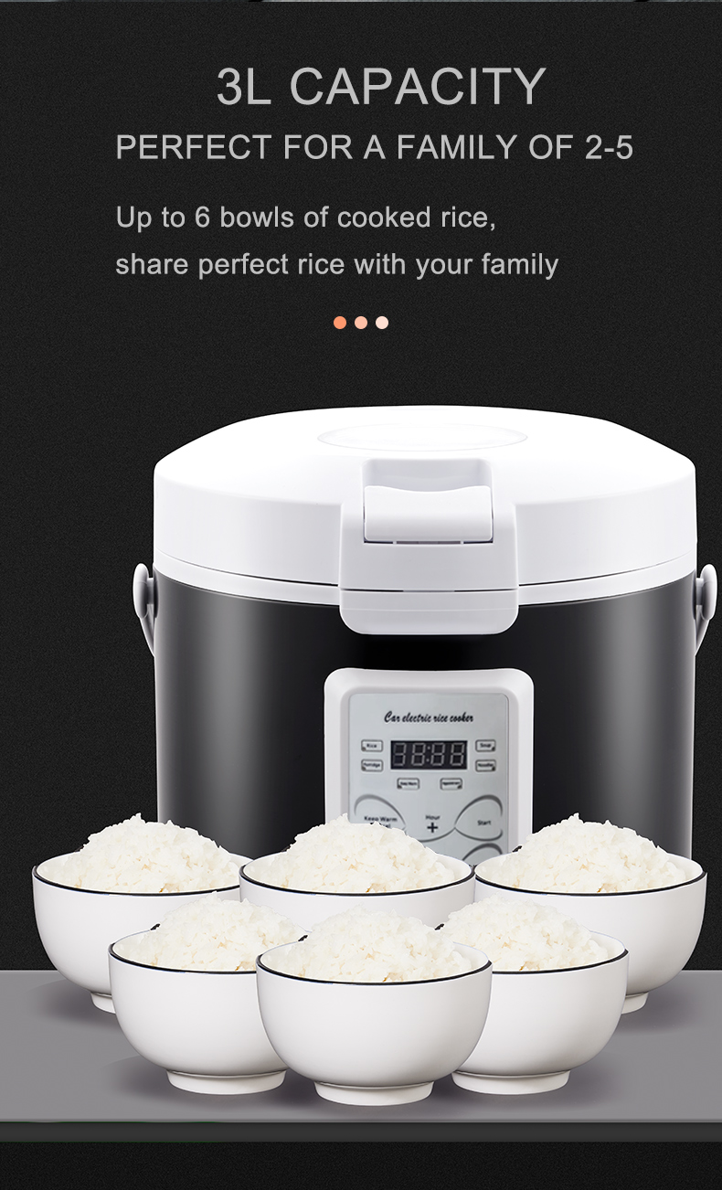 Rmier 12V 24V 220V Mini Rice C - Camping No Cooking Meals recension och pris
